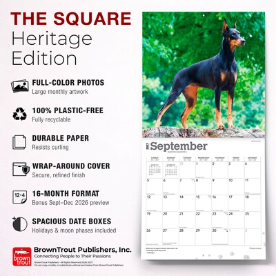 2027 BrownTrout Dobermans 12" x 12" Monthly Wall Calendar (9798330712410)