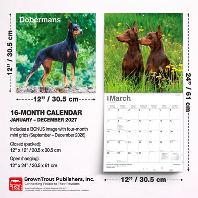 2027 BrownTrout Dobermans 12" x 12" Monthly Wall Calendar (9798330712410)