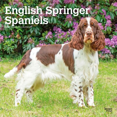2027 BrownTrout English Springer Spaniels 12 x 12 Monthly Wall Calendar (9798330712427)