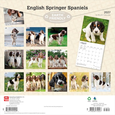 2027 BrownTrout English Springer Spaniels 12 x 12 Monthly Wall Calendar (9798330712427)