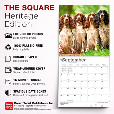 2027 BrownTrout English Springer Spaniels 12" x 12" Monthly Wall Calendar (9798330712427)