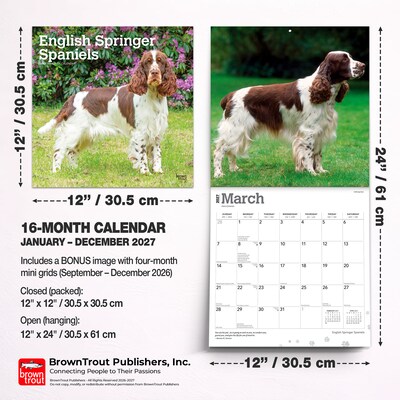 2027 BrownTrout English Springer Spaniels 12" x 12" Monthly Wall Calendar (9798330712427)