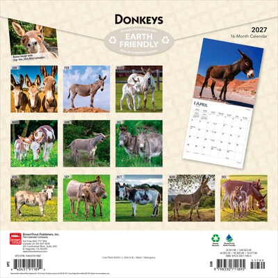 2027 BrownTrout Donkeys 12 x 12 Monthly Wall Calendar (9798330711895)