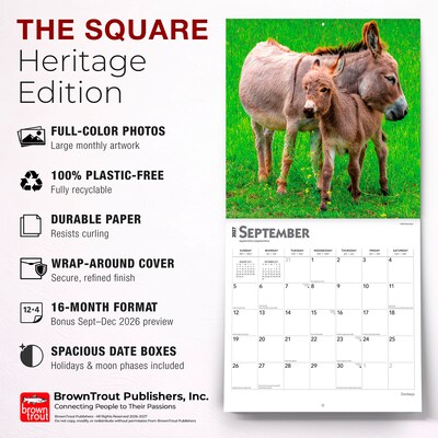 2027 BrownTrout Donkeys 12" x 12" Monthly Wall Calendar (9798330711895)