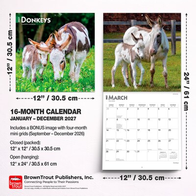 2027 BrownTrout Donkeys 12" x 12" Monthly Wall Calendar (9798330711895)