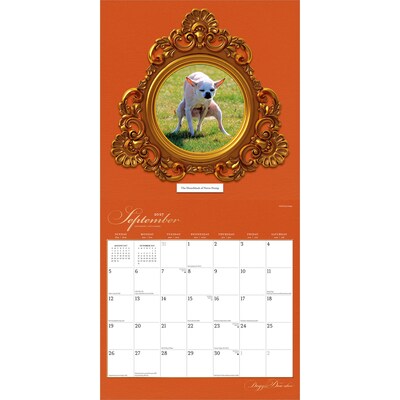 2027 BrownTrout Doggie Doo Doo 12" x 12" Monthly Wall Calendar (9798330711390)