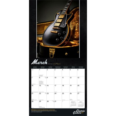 2027 BrownTrout Electric Guitars 12" x 12" Monthly Wall Calendar (9798330711161)
