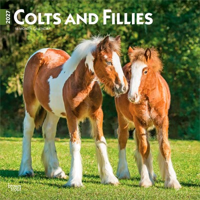 2027 BrownTrout Colts and Fillies 12 x 12 Monthly Wall Calendar (9798330711970)