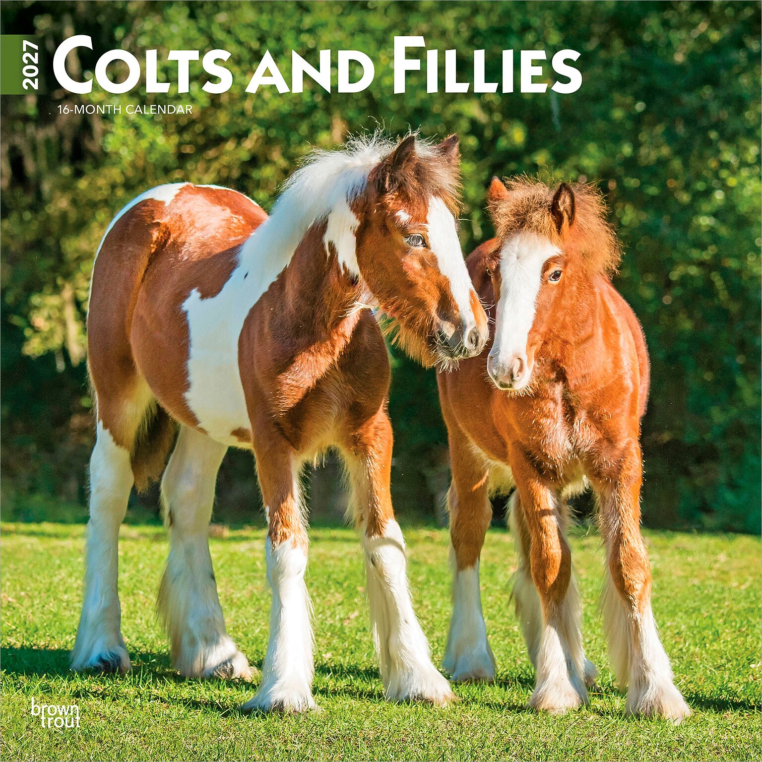 2027 BrownTrout Colts and Fillies 12 x 12 Monthly Wall Calendar (9798330711970)
