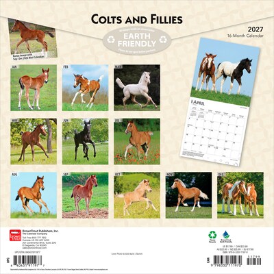 2027 BrownTrout Colts and Fillies 12 x 12 Monthly Wall Calendar (9798330711970)