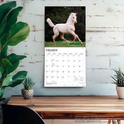 2027 BrownTrout Colts and Fillies 12" x 12" Monthly Wall Calendar (9798330711970)