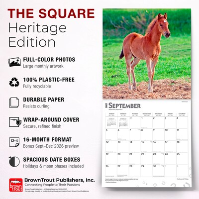 2027 BrownTrout Colts and Fillies 12" x 12" Monthly Wall Calendar (9798330711970)