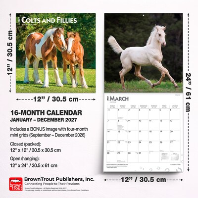 2027 BrownTrout Colts and Fillies 12" x 12" Monthly Wall Calendar (9798330711970)