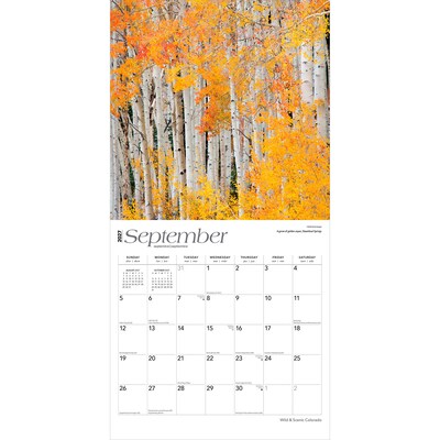 2027 BrownTrout Colorado Wild & Scenic 12" x 12" Monthly Wall Calendar (9798330710478)