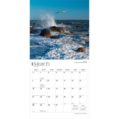2027 BrownTrout Connecticut Wild & Scenic 12" x 12" Monthly Wall Calendar (9798330714155)