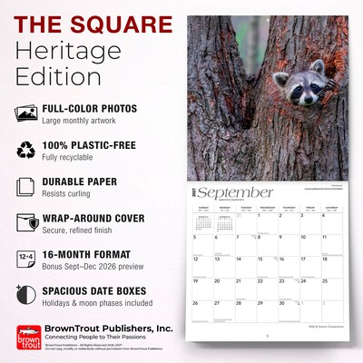 2027 BrownTrout Connecticut Wild & Scenic 12" x 12" Monthly Wall Calendar (9798330714155)