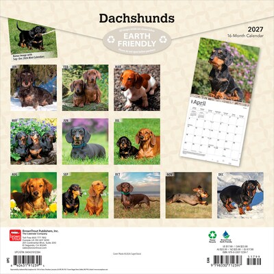 2027 BrownTrout Dachshunds 12 x 12 Monthly Wall Calendar (9798330712397)