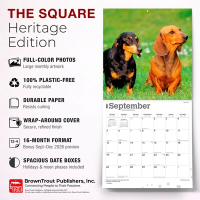 2027 BrownTrout Dachshunds 12" x 12" Monthly Wall Calendar (9798330712397)