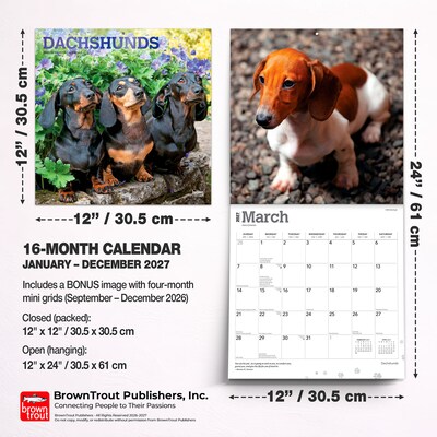 2027 BrownTrout Dachshunds 12" x 12" Monthly Wall Calendar (9798330712397)