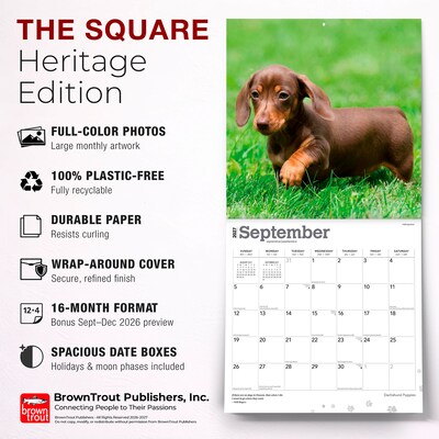 2027 BrownTrout Dachshund Puppies 12" x 12" Monthly Wall Calendar (9798330712380)