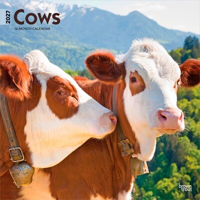 2027 BrownTrout Cows 12 x 12 Monthly Wall Calendar (9798330711888)