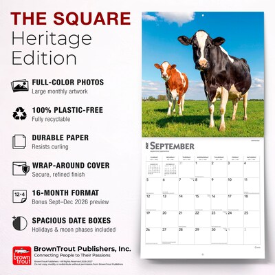 2027 BrownTrout Cows 12" x 12" Monthly Wall Calendar (9798330711888)