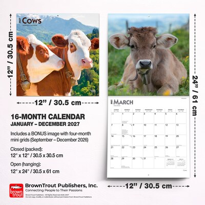 2027 BrownTrout Cows 12" x 12" Monthly Wall Calendar (9798330711888)