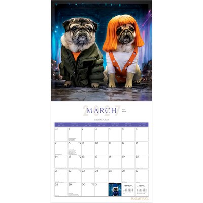 2027 BrownTrout Fantasy Pugs 12" x 12" Monthly Wall Calendar (9798330713226)