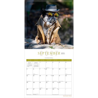 2027 BrownTrout Fantasy Pugs 12" x 12" Monthly Wall Calendar (9798330713226)