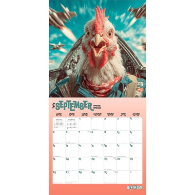2027 BrownTrout Flew the Coop 12" x 12" Monthly Wall Calendar (9798330711406)