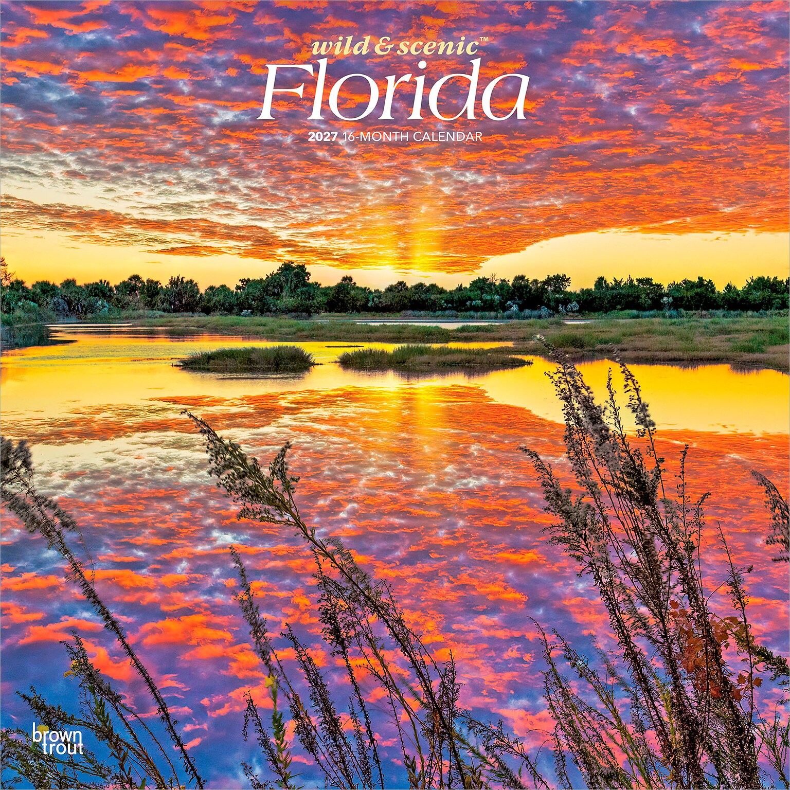 2027 BrownTrout Florida Wild & Scenic 12 x 12 Monthly Wall Calendar (9798330710522)