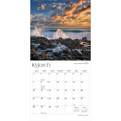 2027 BrownTrout Florida Wild & Scenic 12" x 12" Monthly Wall Calendar (9798330710522)