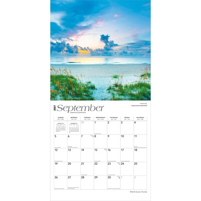 2027 BrownTrout Florida Wild & Scenic 12" x 12" Monthly Wall Calendar (9798330710522)
