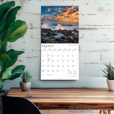 2027 BrownTrout Florida Wild & Scenic 12" x 12" Monthly Wall Calendar (9798330710522)