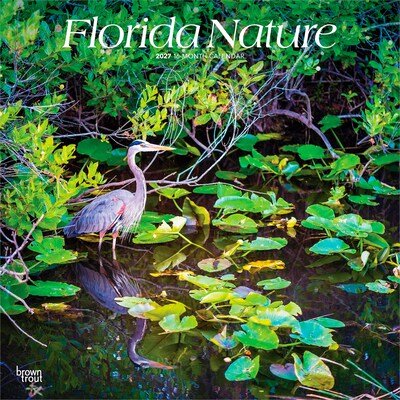 2027 BrownTrout Florida Nature 12 x 12 Monthly Wall Calendar (9798330714186)