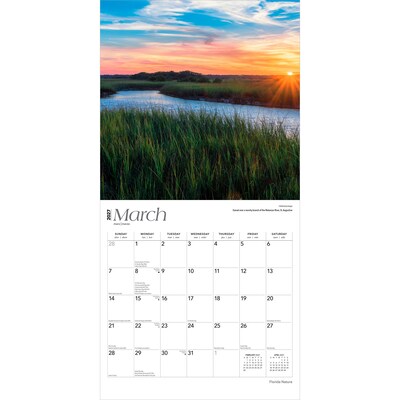 2027 BrownTrout Florida Nature 12" x 12" Monthly Wall Calendar (9798330714186)