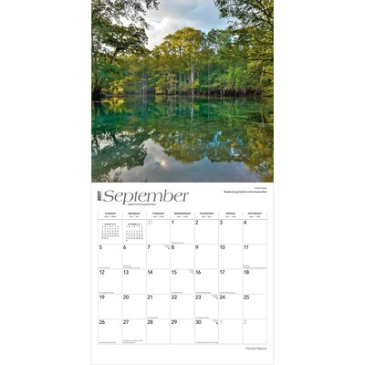 2027 BrownTrout Florida Nature 12" x 12" Monthly Wall Calendar (9798330714186)