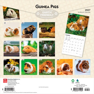 2027 BrownTrout Guinea Pigs 12 x 12 Monthly Wall Calendar (9798330711901)
