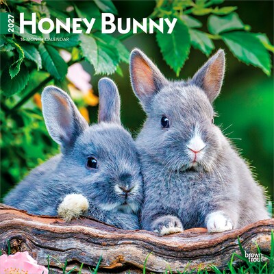 2027 BrownTrout Honey Bunny 12 x 12 Monthly Wall Calendar (9798330711925)