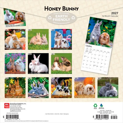 2027 BrownTrout Honey Bunny 12 x 12 Monthly Wall Calendar (9798330711925)