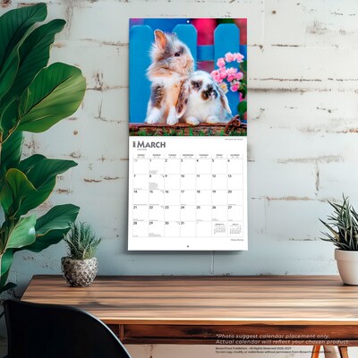 2027 BrownTrout Honey Bunny 12" x 12" Monthly Wall Calendar (9798330711925)