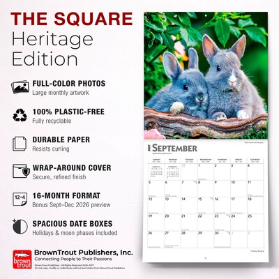 2027 BrownTrout Honey Bunny 12" x 12" Monthly Wall Calendar (9798330711925)