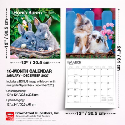 2027 BrownTrout Honey Bunny 12" x 12" Monthly Wall Calendar (9798330711925)