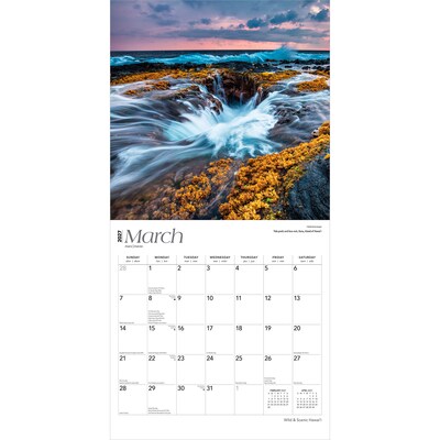 2027 BrownTrout Hawaii Wild & Scenic 12" x 12" Monthly Wall Calendar (9798330710553)