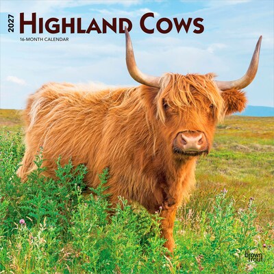 2027 BrownTrout Highland Cows 12 x 12 Monthly Wall Calendar (9798330711918)