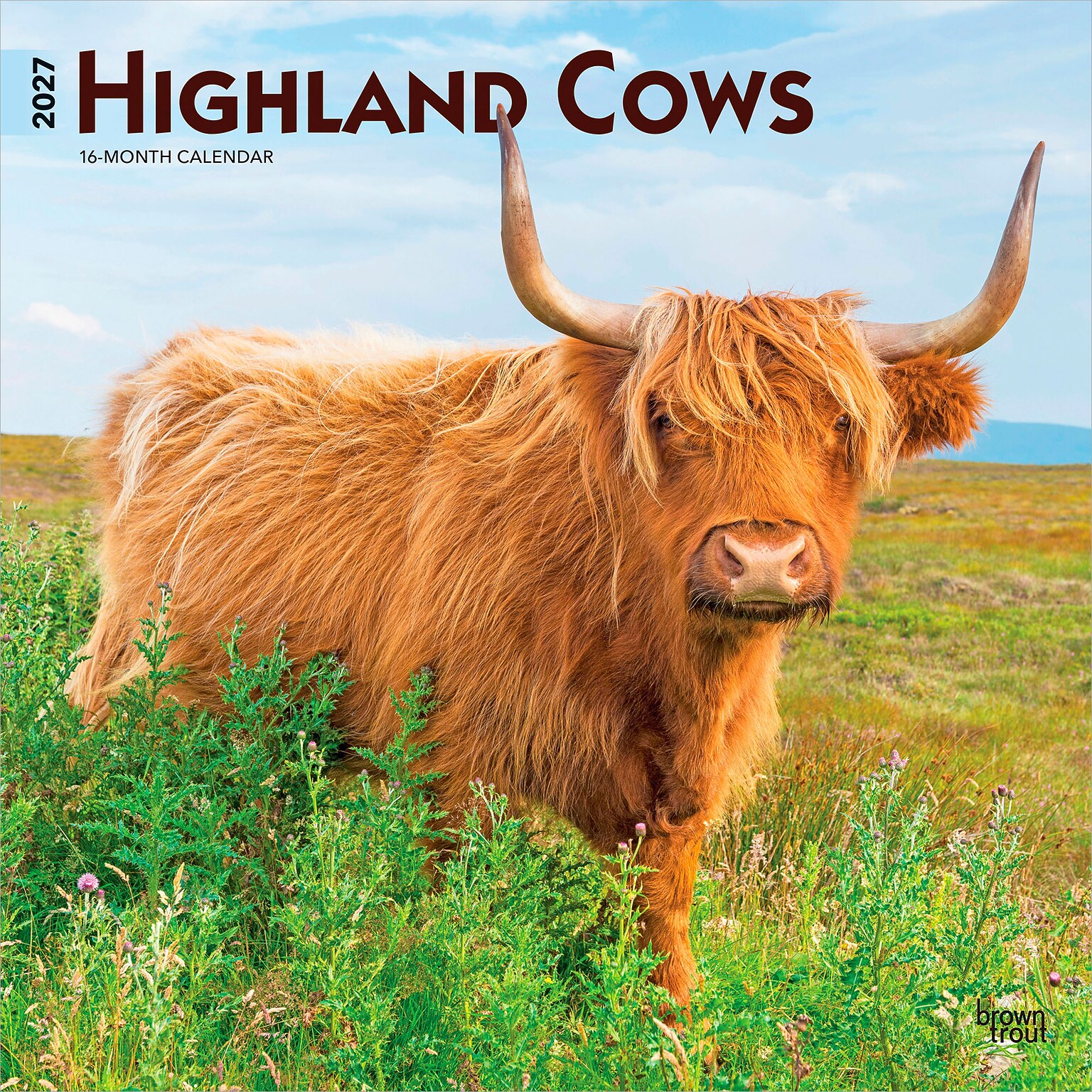 2027 BrownTrout Highland Cows 12 x 12 Monthly Wall Calendar (9798330711918)
