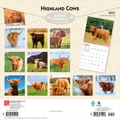 2027 BrownTrout Highland Cows 12 x 12 Monthly Wall Calendar (9798330711918)