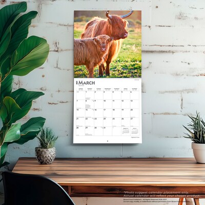 2027 BrownTrout Highland Cows 12" x 12" Monthly Wall Calendar (9798330711918)