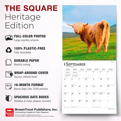 2027 BrownTrout Highland Cows 12" x 12" Monthly Wall Calendar (9798330711918)
