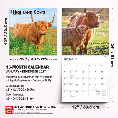 2027 BrownTrout Highland Cows 12" x 12" Monthly Wall Calendar (9798330711918)
